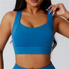 Clio Sports Bra