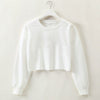 Cropped Sweatshirt